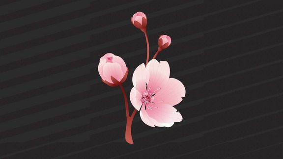 Stilisierte Illustration eines blühenden Zweigs: Ein schlanker, rötlicher Ast mit einer geöffneten, blassrosa Blüte und mehreren geschlossenen Knospen ragt nach oben. Der Hintergrund ist dunkelgrau bis schwarz mit diagonalen Streifen.