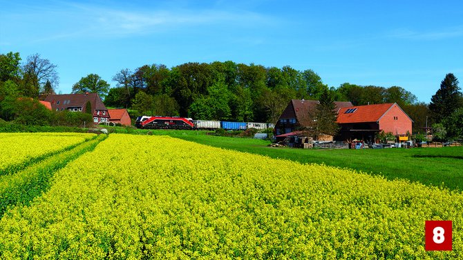  Rote und schwarze Lokomotive mit mehreren Güterwagen auf einer Bahnstrecke am Rand eines gelb blühenden Feldes. Im Hintergrund stehen mehrere Häuser mit roten Dächern vor einem bewaldeten Hang. Der Himmel ist klar und blau. Unten rechts befindet sich eine rote Markierung mit der Zahl „8“.