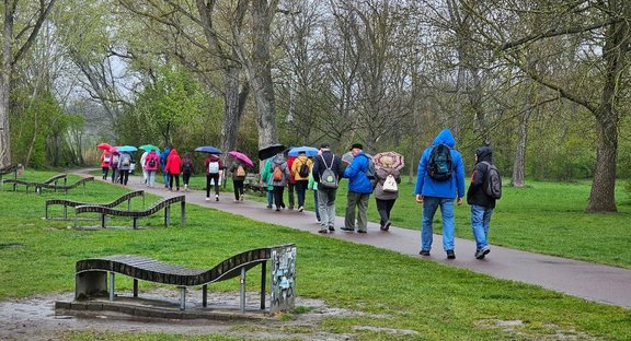 Auf einem befestigten Weg in einer parkähnlichen Grünanlage gehen mehrere Personen in einer Reihe vom Betrachter weg. Viele tragen Rucksäcke und Regenjacken; einige halten geöffnete Regenschirme. Links neben dem Weg stehen geschwungene Sitzbänke aus Holz und Metall. Rasenflächen und hohe, noch wenig belaubte Bäume umgeben den Weg.