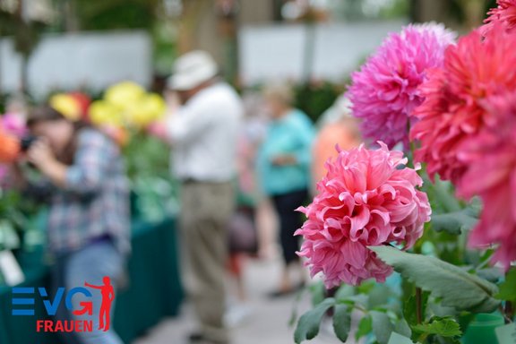 Mehrere große rosa Blüten mit grünen Blättern im Vordergrund, aufgenommen mit geringer Tiefenschärfe. Im unscharfen Hintergrund stehen mehrere Personen zwischen weiteren Blumen und Pflanzen. Unten links befindet sich ein blau-rotes Logo mit der Aufschrift „EVG FRAUEN“.