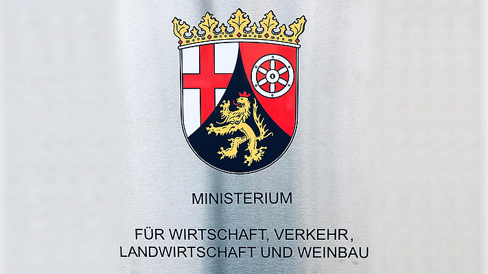 Sicher unterwegs: EVG Landesverband Rheinland-Pfalz trifft sich mit Vertretern des Verkehrsministeriums