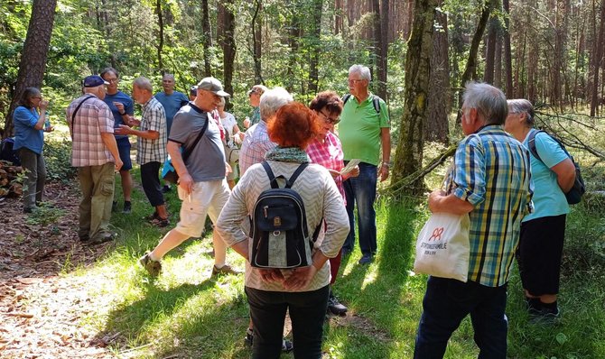 Gruppe von etwa 20 Personen steht und geht auf einem schmalen Weg in einem Waldgebiet. Umgeben von Bäumen, Grünflächen und Sonnenlicht tragen die Personen Freizeitkleidung, Rucksäcke und Taschen. Einige Personen halten Papier in den Händen. Der Boden ist teils grasbewachsen, teils erdig; der Hintergrund zeigt dicht stehende Bäume.
