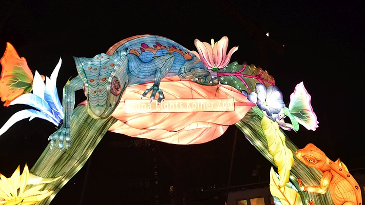Kölner Seniorenleitung besucht Zoo - Magische Eindrücke bei „China Lights“